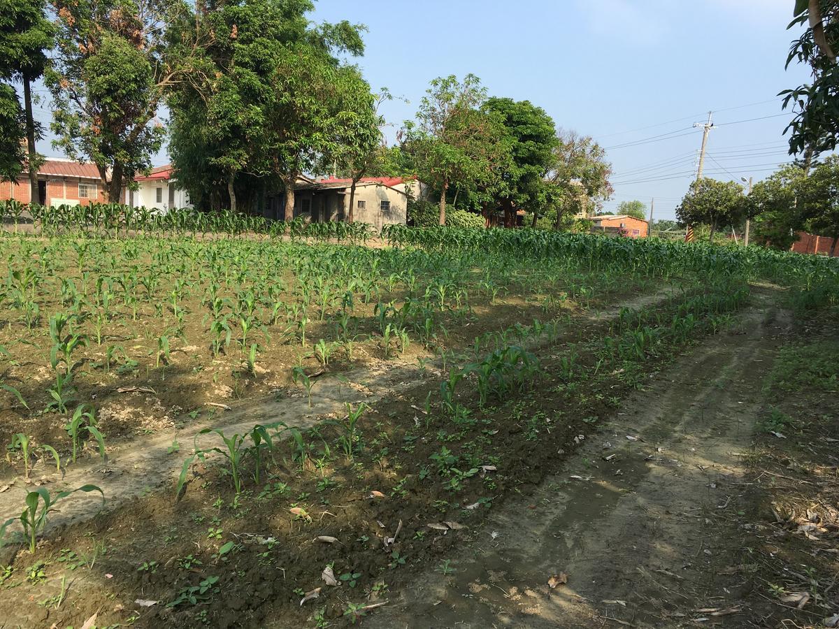 Sky Gift Traditional Farm B&B Dongshi  Esterno foto