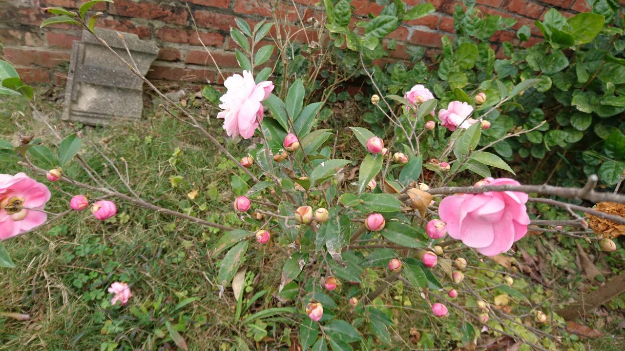 Sky Gift Traditional Farm B&B Dongshi  Esterno foto